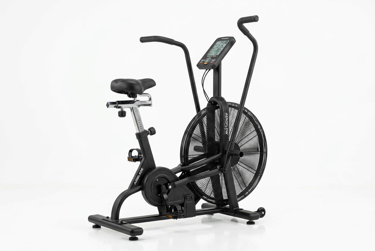 Schwinn Airdyne AD6 Exercise Bike